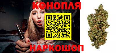 гашик Туймазы